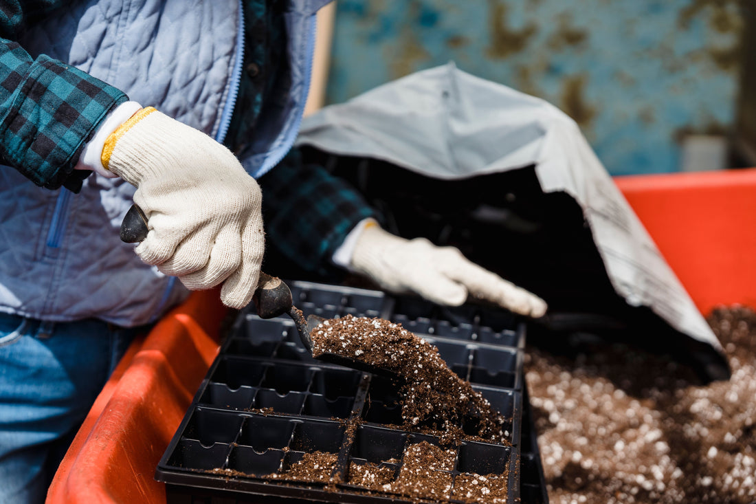 A Simple Guide to Composting at Home